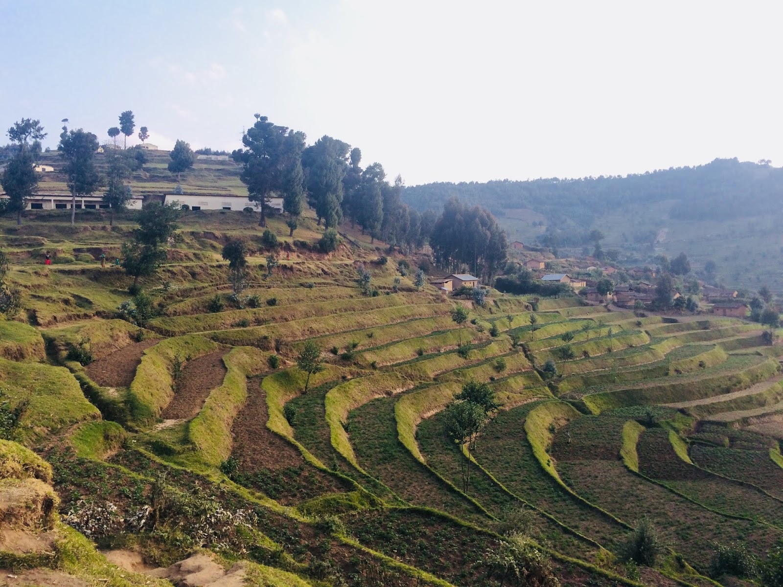 Snapshots from Rwanda: Financing Green Growth